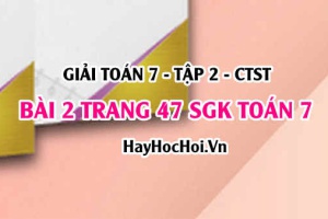 Giải bài 2 trang 47 Toán 7 tập 2 SGK Chân trời sáng tạo